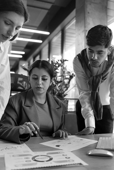 Audit Services